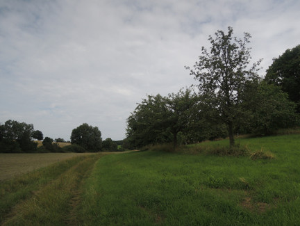 Der Weg führt uns von Meeder nach Mirsdorf.