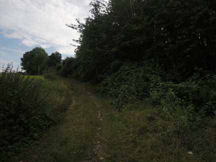 Auf dem Weg zur Alexandrinenhütte