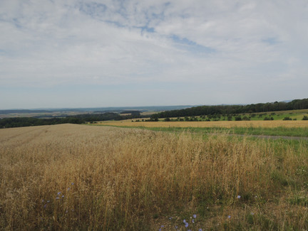 Ausblick auf das Coburger Land