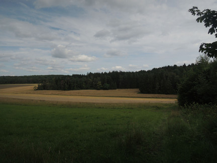Blick auf die Landschaft des Coburger Landes