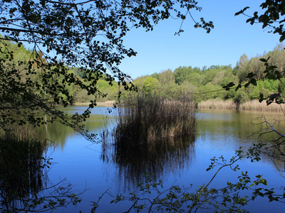 Foto Michael Reinboth