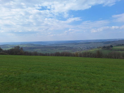 Karlskopf Pellingen