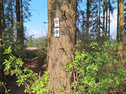 Markierung Pellinger Schanzen
