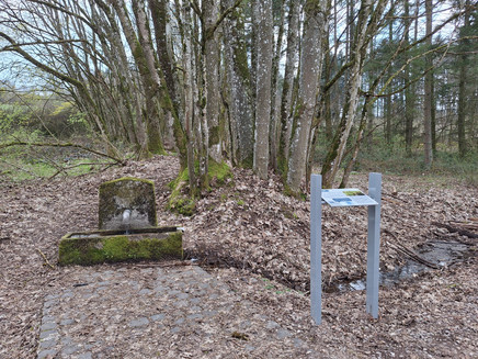 Pellinger Schanzen