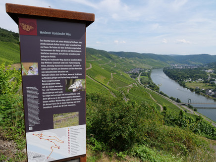 Stele mit spannenden Infos