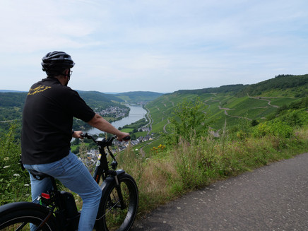Radfahren inmitten der Weinberge