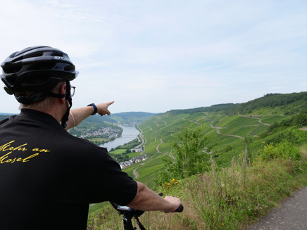 Cycling amidst the vineyards