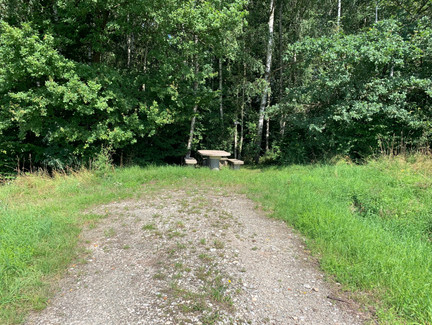 Am Rande des Waldes steht der Tisch direkt an er Grenze Bayern-Thüringen