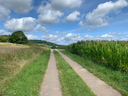 R2 Grenzwanderweg bei Weißenbrunn