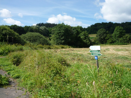 Wegweiser zwischen Weißenbrunn und Almerswind