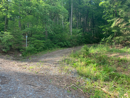 Abzweig zum Rundwanderweg L9 Röserkopf