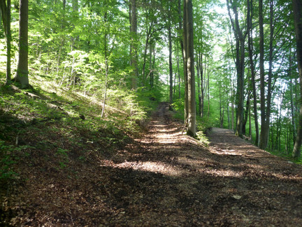 Hier geht es links bergauf zum Röserkopf