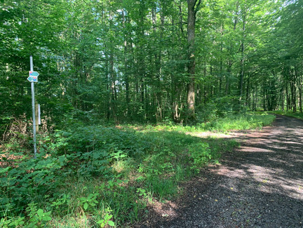 Beschilderung am Rundwanderweg Röserkopf-Weißbachsgrund