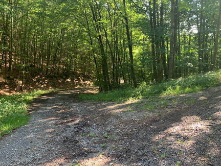 Vom Röserkopf bergab zum Weißbachsgrund