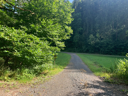 Auf dem Weg im Weißbachsgrund Richtung Tiefenlauter