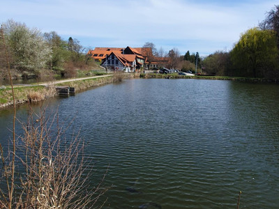 Monastery ponds near Michaelstein, view of the monastery fisherman