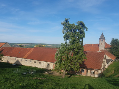 View of the vast Harz foothills from the Clusberg