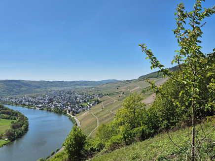 Aussicht