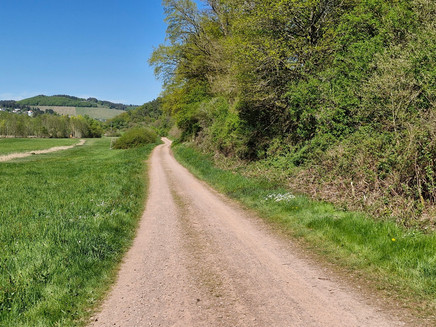 Radweg zwischen Saarburg und Trassem