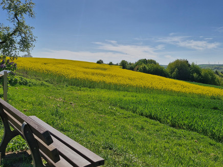 Ausblick auf den Saargau von Kastel (1)