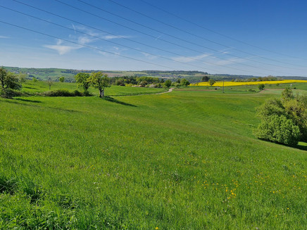 Radweg Richtung Ortsmitte von Kastel