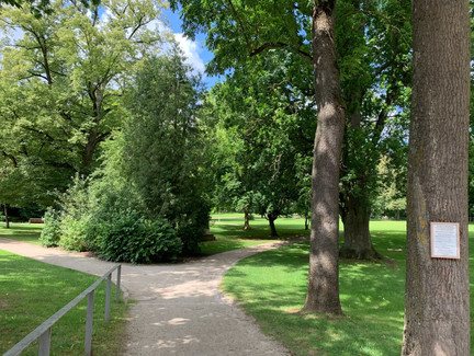 Im Schlosspark Niederfüllbach