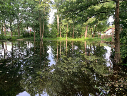 Weiher im Schlosspark Ketschendorf