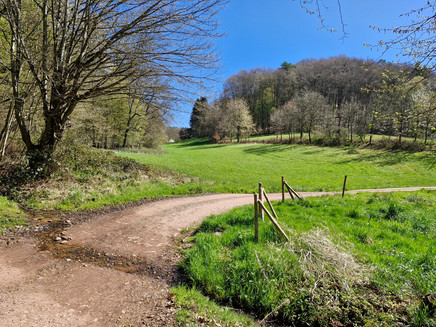 Radweg bei Trassem-Perdenbach
