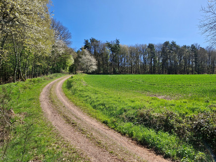 Radweg zum Kulturplateau Kastel-Staadt