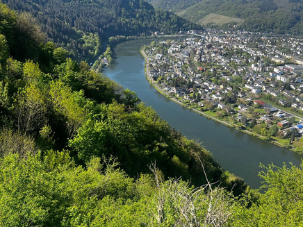 Aussicht von Starkenburg auf Traben- Trarbach