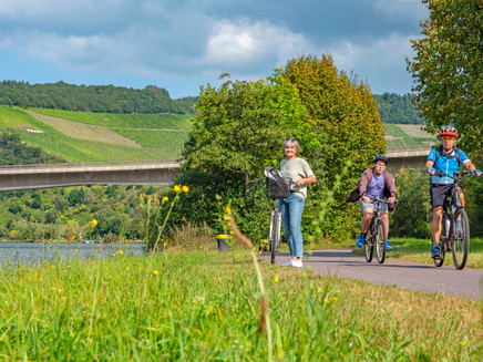 Saar-Radweg vor Ockfen