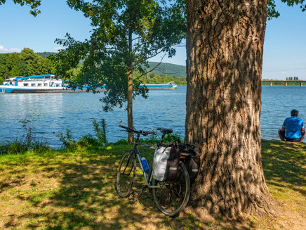 Zusammenfluss Saar und Mosel (2)