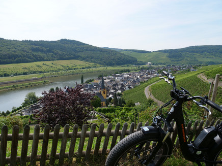 Oberhalb des Sortengartens in Zeltingen-Rachtig
