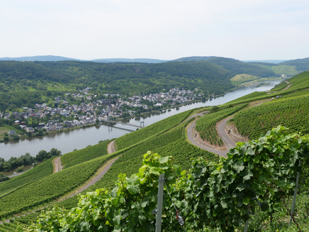 View over the Moselle Valley