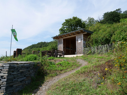 Weinberg hut near Wehlen