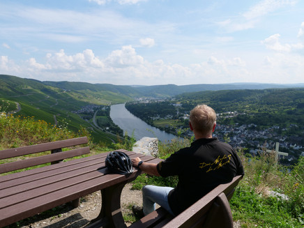 View of Wehlen and the Moselle Valley