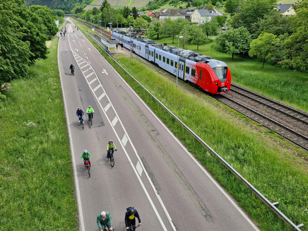 Saar-Pedal (1)