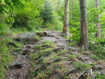 Abwechslungsreiche Wegführung in der Nähe von Neuwerk
