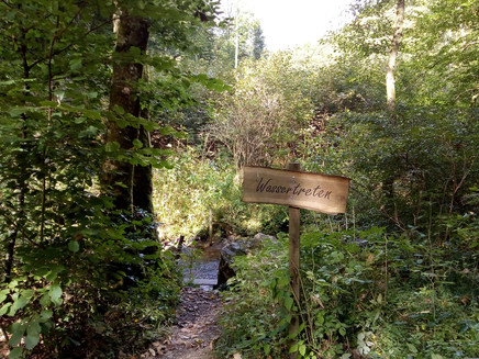 Wassertreten am Rastplatz im Hinterbachtal