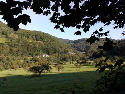 das Dhrontal mit Ortsteil Papiermühle im Hintergrund