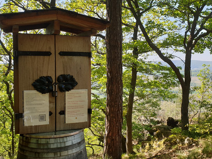 Weinschrank auf der Josphinenhöhe
