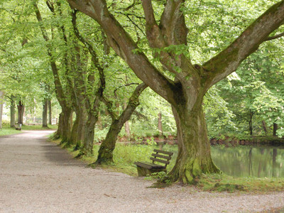 Steinway Park in Seesen