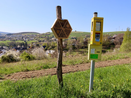 Bienenautomat und Insektenhotel