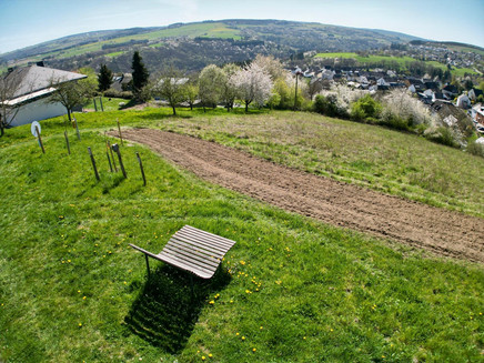 Aussicht am Bienenlehrpfad