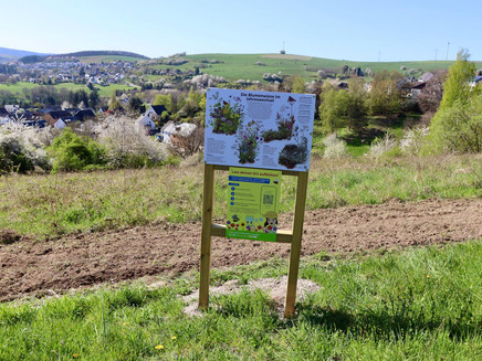 Schautafel am Bienenlehrpfad