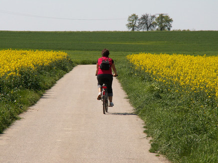 Hunsrück-Mosel-Radweg
