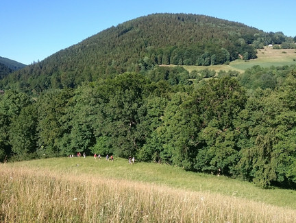 Entlang der Fränkischen Linie am Schiefergebirgsrand