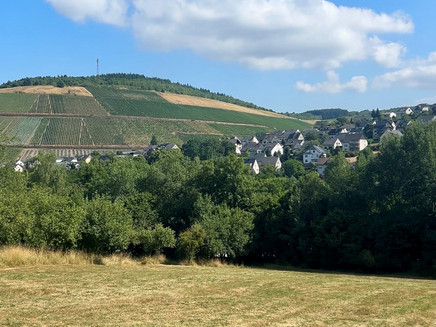 Ausblick auf die Weinberge