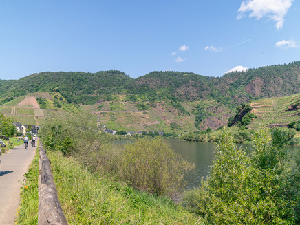 Mosel Cycle Path at the Bremmer Calmont – Europe's steepest vineyard