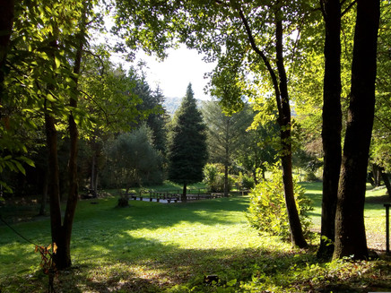 Parkanlage am Sauerbrunnen in Kesten
